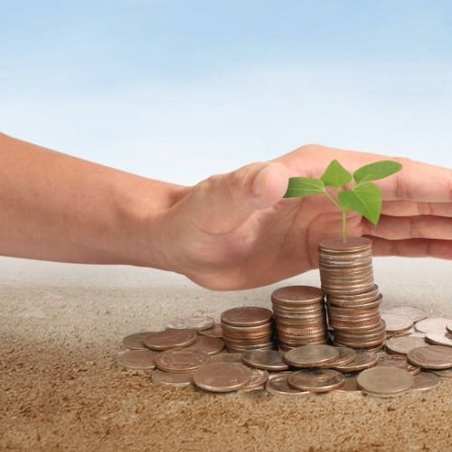 Embracing the Journey from Pennies to Prosperity.